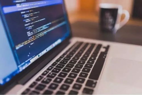 國際計算機競賽深度剖析
