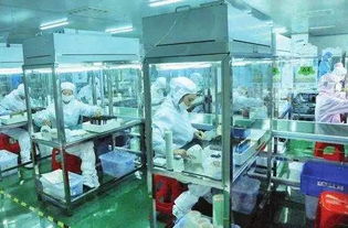 邵陽 企業軟件開發的創新實踐者