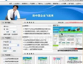 專業軟件開發服務與知識產權保護